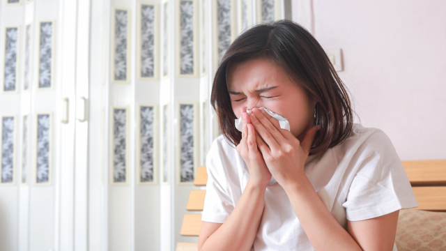 Cara Sembuhkan Pilek Lebih Cepat dan Mudah Tanpa Perlu Obat Mahal